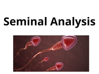 Seminal Uid Analysis Seminal analysis in the laboratory. .ppt