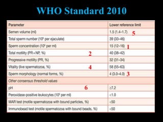 WHO Standard 2010
1
2
3
4
5
6
 