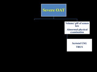 Severe OAT
Volume/ pH of semen
Normal
Low testicular volume
FSH, LH,
Testosterone, blood
sugar
Karyotyping
Y chromosome
Microdeletion
Prolactin, TSH if
clinically suspected
Volume/ pH of semen
low
Abnormal physical
examination
Scrtotal USG
TRUS
 