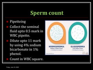 Sperm count
 Pipetteing
 Collect the seminal
fluid upto 0.5 mark in
WBC pipette.
 Dilute upto 11 mark
by using 4% sodium
bicarbonate in 1%
phenol.
 Count in WBC square.
Friday, June 19, 2020
 