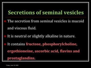 Secretions of seminal vesicles
 The secretion from seminal vesicles is mucoid
and viscous fluid.
 It is neutral or slightly alkaline in nature.
 It contains fructose, phosphorylcholine,
ergothioneine, ascorbic acid, flavins and
prostaglandins.
Friday, June 19, 2020
 