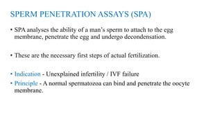SPERM PENETRATION ASSAYS (SPA)
• SPA analyses the ability of a man’s sperm to attach to the egg
membrane, penetrate the egg and undergo decondensation.
• These are the necessary first steps of actual fertilization.
• Indication - Unexplained infertility / IVF failure
• Principle - A normal spermatozoa can bind and penetrate the oocyte
membrane.
 