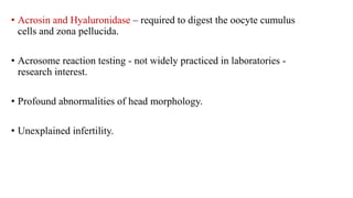 • Acrosin and Hyaluronidase – required to digest the oocyte cumulus
cells and zona pellucida.
• Acrosome reaction testing - not widely practiced in laboratories -
research interest.
• Profound abnormalities of head morphology.
• Unexplained infertility.
 