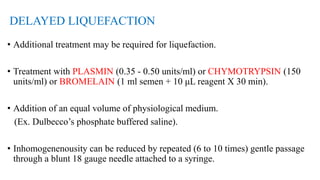 DELAYED LIQUEFACTION
• Additional treatment may be required for liquefaction.
• Treatment with PLASMIN (0.35 - 0.50 units/ml) or CHYMOTRYPSIN (150
units/ml) or BROMELAIN (1 ml semen + 10 μL reagent X 30 min).
• Addition of an equal volume of physiological medium.
(Ex. Dulbecco’s phosphate buffered saline).
• Inhomogenenousity can be reduced by repeated (6 to 10 times) gentle passage
through a blunt 18 gauge needle attached to a syringe.
 