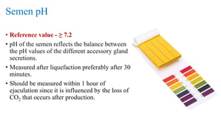 Semen pH
• Reference value - ≥ 7.2
• pH of the semen reflects the balance between
the pH values of the different accessory gland
secretions.
• Measured after liquefaction preferably after 30
minutes.
• Should be measured within 1 hour of
ejaculation since it is influenced by the loss of
CO2 that occurs after production.
 