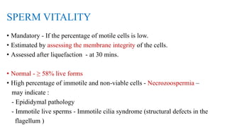 SPERM VITALITY
• Mandatory - If the percentage of motile cells is low.
• Estimated by assessing the membrane integrity of the cells.
• Assessed after liquefaction - at 30 mins.
• Normal - ≥ 58% live forms
• High percentage of immotile and non-viable cells - Necrozoospermia –
may indicate :
- Epididymal pathology
- Immotile live sperms - Immotile cilia syndrome (structural defects in the
flagellum )
 