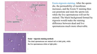 Eosin-nigrosin staining: After the sperm
die, the permeability of membrane
increases, and the Eosin-Y staining then
can penetrate and stain the sperm red,
while the live spermatozoa will not be
stained. The black background formed by
nigrosin would make the staining
difference between dead and live
spermatozoa much more observable.
 