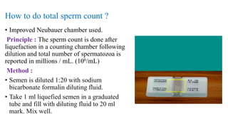How to do total sperm count ?
• Improved Neubauer chamber used.
Principle : The sperm count is done after
liquefaction in a counting chamber following
dilution and total number of spermatozoa is
reported in millions / mL. (106/mL)
Method :
• Semen is diluted 1:20 with sodium
bicarbonate formalin diluting fluid.
• Take 1 ml liquefied semen in a graduated
tube and fill with diluting fluid to 20 ml
mark. Mix well.
 