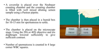 • A coverslip is placed over the Neubauer
counting chamber and the counting chamber
is filled with well mixed diluting semen
sample using a Pasteur pipette.
• The chamber is then placed in a humid box
for 10-15 min for spermatozoa to settle.
• The chamber is placed on the microscope
stage. Using the 20X or 40X objective and iris
diaphragm lowered sufficiently to give
sufficient contrast.
• Number of spermatozoa is counted in 4 large
corner WBC squares.
 