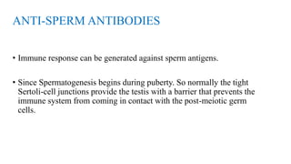 ANTI-SPERM ANTIBODIES
• Immune response can be generated against sperm antigens.
• Since Spermatogenesis begins during puberty. So normally the tight
Sertoli-cell junctions provide the testis with a barrier that prevents the
immune system from coming in contact with the post-meiotic germ
cells.
 