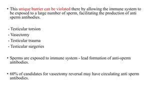• This unique barrier can be violated there by allowing the immune system to
be exposed to a large number of sperm, facilitating the production of anti
sperm antibodies.
- Testicular torsion
- Vasectomy
- Testicular trauma
- Testicular surgeries
• Sperms are exposed to immune system - lead formation of anti-sperm
antibodies.
• 60% of candidates for vasectomy reversal may have circulating anti sperm
antibodies.
 