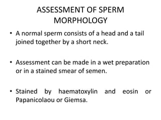 ASSESSMENT OF SPERM
MORPHOLOGY
• A normal sperm consists of a head and a tail
joined together by a short neck.
• Assessment can be made in a wet preparation
or in a stained smear of semen.
• Stained by haematoxylin and eosin or
Papanicolaou or Giemsa.
 