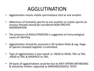 AGGLUTINATION
• Agglutination means motile spermatozoa stick to one another.
• Adherence of immotile sperms to one another or motile sperms to
mucous threads should be considered NON SPECIFIC
AGGREGATION.
• The presence of AGGLUTINATION is suggestive of immunological
cause of infertility.
• Agglutination should be assessed in 20 random fields & avg. %age
of sperms clumped together is estimated .
• Type of agglutination is also noted i.e. HEAD to HEAD, TAIL to TAIL
,HEAD to TAIL & MIDPIECE to TAIL.
• All types of agglutinations could be due to ANTI SPERM ANTIBODIES
& should be further subjected to IMMUNOLOGICAL TESTS
 
