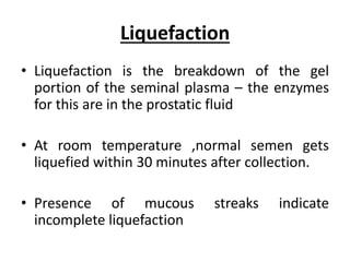 Liquefaction
• Liquefaction is the breakdown of the gel
portion of the seminal plasma – the enzymes
for this are in the prostatic fluid
• At room temperature ,normal semen gets
liquefied within 30 minutes after collection.
• Presence of mucous streaks indicate
incomplete liquefaction
 