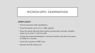 MICROSCOPIC EXAMINATION
SPERM COUNT:
• Mix the specimen after liquefaction.
• Draw the semen up to 0.5 in a WBC pipette.
• Draw the semen diluting fluid (sodium bicarbonate, formalin, distilled
water) up to mark 11 and mix well.
• Charge the improved Neubauer counting chamber and allow the sperm
to settle for 5 minute.
• Count all 4 squares of WBC area.
• Normal: 40-300 millions/ml.
 