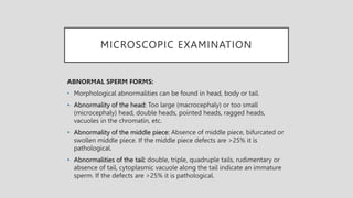 MICROSCOPIC EXAMINATION
ABNORMAL SPERM FORMS:
• Morphological abnormalities can be found in head, body or tail.
• Abnormality of the head: Too large (macrocephaly) or too small
(microcephaly) head, double heads, pointed heads, ragged heads,
vacuoles in the chromatin, etc.
• Abnormality of the middle piece: Absence of middle piece, bifurcated or
swollen middle piece. If the middle piece defects are >25% it is
pathological.
• Abnormalities of the tail: double, triple, quadruple tails, rudimentary or
absence of tail, cytoplasmic vacuole along the tail indicate an immature
sperm. If the defects are >25% it is pathological.
 
