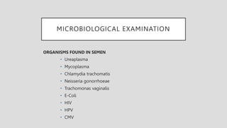 MICROBIOLOGICAL EXAMINATION
ORGANISMS FOUND IN SEMEN
• Ureaplasma
• Mycoplasma
• Chlamydia trachomatis
• Neisseria gonorrhoeae
• Trachomonas vaginalis
• E-Coli
• HIV
• HPV
• CMV
 
