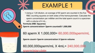 5 Rbc Square Sperm Analysis, Count, and Testing Lecture.pptx