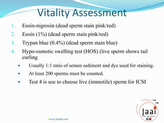 Vitality Assessment
1. Eosin-nigrosin (dead sperm stain pink/red)
2. Eosin (1%) (dead sperm stain pink/red)
3. Trypan blue (0.4%) (dead sperm stain blue)
4. Hypo-osmotic swelling test (HOS) (live sperm shows tail
curling
 Usually 1:1 ratio of semen sediment and dye used for staining.
 At least 200 sperms must be counted.
 Test 4 is use to choose live (immotile) sperm for ICSI
www.jaailab.com
 