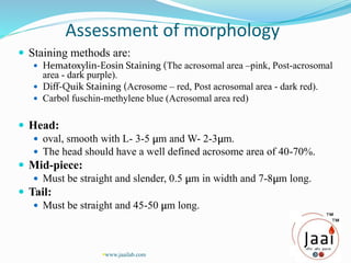 Assessment of morphology
 Staining methods are:
 Hematoxylin-Eosin Staining (The acrosomal area –pink, Post-acrosomal
area - dark purple).
 Diff-Quik Staining (Acrosome – red, Post acrosomal area - dark red).
 Carbol fuschin-methylene blue (Acrosomal area red)
 Head:
 oval, smooth with L- 3-5 µm and W- 2-3µm.
 The head should have a well defined acrosome area of 40-70%.
 Mid-piece:
 Must be straight and slender, 0.5 µm in width and 7-8µm long.
 Tail:
 Must be straight and 45-50 µm long.
www.jaailab.com
 