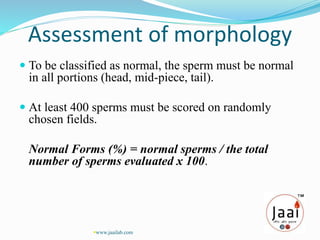 Assessment of morphology
 To be classified as normal, the sperm must be normal
in all portions (head, mid-piece, tail).
 At least 400 sperms must be scored on randomly
chosen fields.
Normal Forms (%) = normal sperms / the total
number of sperms evaluated x 100.
www.jaailab.com
 