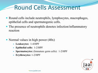 Round Cells Assessment
 Round cells include neutrophils, lymphocytes, macrophages,
epithelial cells and spermatogenic cells.
 The presence of neutrophils denotes infection/inflammatory
reaction
 Normal values in high power (40x)
 Leukocytes: 1-4/HPF
 Epithelial cells: 1-2/HPF
 Spermatocytes: (Immature germ cells): 1-2/HPF
 Erythrocytes: 1-2/HPF
www.jaailab.com
 