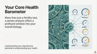 Significance of Semen Analysis - Lab Tests Dubai