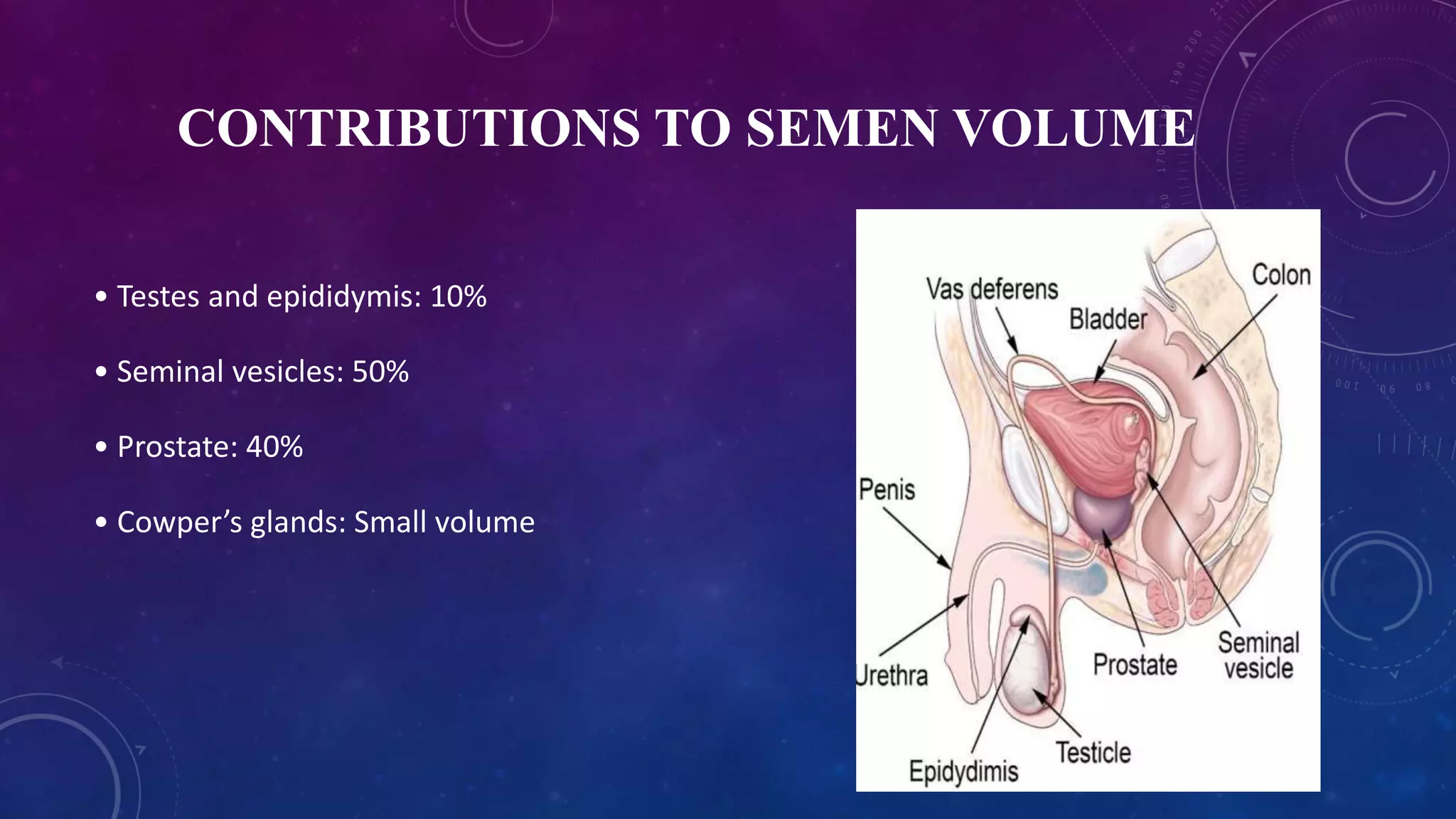 Seminal Uid Analysis Semen analysis or seminal fluid analysis | PPTX