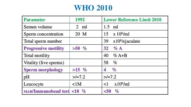 Breakdown of sperm - Porn tube 2020 of sperm Breakdown