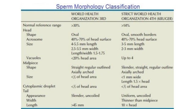 Petta recommends best of Breakdown of sperm Naked flat women