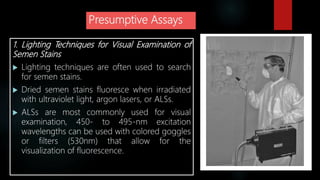 Presumptive Assays
1. Lighting Techniques for Visual Examination of
Semen Stains
 Lighting techniques are often used to search
for semen stains.
 Dried semen stains fluoresce when irradiated
with ultraviolet light, argon lasers, or ALSs.
 ALSs are most commonly used for visual
examination, 450- to 495-nm excitation
wavelengths can be used with colored goggles
or filters (530nm) that allow for the
visualization of fluorescence.
 