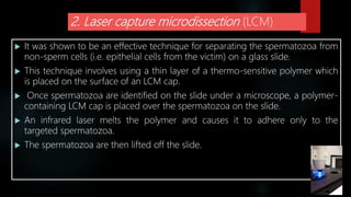 2. Laser capture microdissection (LCM)
 It was shown to be an effective technique for separating the spermatozoa from
non-sperm cells (i.e. epithelial cells from the victim) on a glass slide.
 This technique involves using a thin layer of a thermo-sensitive polymer which
is placed on the surface of an LCM cap.
 Once spermatozoa are identified on the slide under a microscope, a polymer-
containing LCM cap is placed over the spermatozoa on the slide.
 An infrared laser melts the polymer and causes it to adhere only to the
targeted spermatozoa.
 The spermatozoa are then lifted off the slide.
 