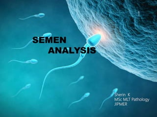 SEMEN
ANALYSIS
Sherin K
MSc MLT Pathology
JIPMER
1
 