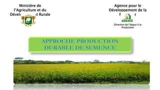 Ministère de
l’Agriculture et du
Développement Rurale
Agence pour le
Développement de la
filière Riz
Direction de l’Appui à la
Production
 