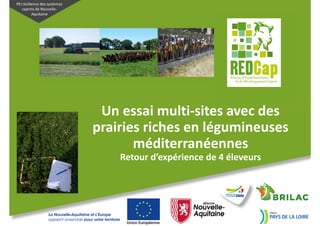 PEI résilience des systèmes
caprins de Nouvelle-
Aquitaine
Un essai multi-sites avec des
prairies riches en légumineuses
méditerranéennes
Retour d’expérience de 4 éleveurs
 