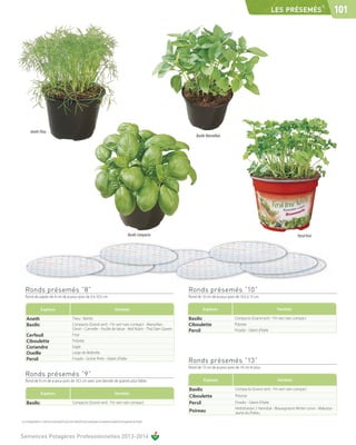 ®
                                                                                                                                                                                        LES PRÉSEMÉS                            101




         Aneth Titou
                                                                                                                                         Basilic Marseillais




                                                                                                                  Basilic Compacto                                                                       Persil frisé




   Ronds présemés ”8”                                                                                                                Ronds présemés ”10”
   Rond de papier de 8 cm de ø pour pots de 9 à 10,5 cm .                                                                            Rond de 10 cm de ø pour pots de 10,5 à 13 cm.


                    Espèces                                                                        Variétés                                   Espèces                                       Variétés

    Aneth                                             Titou - Bambi                                                                  Basilic                      Compacto (Grand vert) - Fin vert nain compact
    Basilic                                           Compacto (Grand vert) -