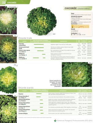 22   CHICORÉE

      Très fine maraîchère




                                                                                                                                                                                                                Semis
                                                                                                                                                                                                                A partir de janvier en motte en serre chaude.
                                                                                                                                                                                                                Quantité de semences
                                                                                                                                                                                                                4 g pour 1000 plants
                                                                                                                                                                                                                1-1,5 kg/ha en semis direct avec éclaircissage
                                                                                                                                                                                                                500-600 graines/g
                                                                                                                                                                                                                Pré-culture 2 à 3 semaines maximum à 25°C
                                                                                                                                                                                                                Germination 10-20 jours
                                                                                                                                                                                                                     C°   5   10 15 20 25 30 35
                                                                                                                                                                                                                    sol

                                                                                                                                                                                                                Densité
                                                                                                                                                                                                                5 à 10 plants m2
                                                                                                                                                                                                                30 x 30 à 60 cm
                                                                                                                                                                    Jenifer
                                                                                                                                                                                                                Fertilisation (u /ha)
                                                                                                                                                                                                                N = 70 P = 100-120 K = 150-200
                    Clara

                             Chicorée frisée
                                                                                 Date de plantation conseillée                                                                                                                  Qté      Forme
                                             Variétés                                                                                                                               Particularités                                                     Code
                                                                               J F M A M J J A S O N D                                                                                                                          mini     produit
                              Très fine                                                                                                                                                                                          10 g    Non traité 009011NS
                                                                                                                                                           Végétation rapide. Frisure très fine. Feuilles plates.
                              maraîchère                                                                                                                                                                                       1000 GE     Traité   009011FE
                              Grosse pommant                                                                                                               Très lente à la montée à graines. Volume moyen. Belle                 10 g    Non traité 009012NS
                              seule                                                                                                                        présentation commerciale.                                           1000 GE     Traité   009012FE
                              D'été à cœur jaune                                                                                                           Bon comportement à la chaleur. Peu sensible à la nécrose.             10 g    Non traité 009023NS
                              race Clara                                                                                                                   Sélection très homogène.                                            1000 GE     Traité   009023FE
                              Wallonne                                                                                                                     Plante rustique et volumineuse. Bonne tenue aux                       10 g               009006NS
                                                                                                                                                                                                                                         Non traité
                              race Dorea                                                                                                                   intempéries, à l’automne.                                           1000 GE              009006NE
                                                                                                                                                           Très résistante à la montée à graines. Plante homogène et
                              Wallonne                                                                                                                     compacte. Tolérante au tip burn et aux nécroses internes.           1000 GE Non traité 009029NE
                              race Jenifer                                                                                                                 Très beau contraste vert-blanc.


                                                                                                                                                                                                                                                         Maral
                    Prisca




                                                                                                                                                                  d'utilisation. Coeur

                                                                                                                                                                        présentation.
                             Chicorée scarole
                                                                                Date de plantation conseillée                                                                                                                     Qté     Forme
                                             Variétés                                                                                                                              Particularités                                                      Code
                                                                               J F M A M J J A S O N D                                                                                                                            mini    produit
                                                                                                                                                  Plante rustique. Croissance rapide. Bonne tenue au champ. Coeur
                              Nuance                                                                                                              plein, bien dense. Type grosse bouclée.
                                                                                                                                                                                                                                 1000 GE Non traité 010028NE
                    Osiris    Grosse bouclée 2                                                                                                                                                                                     10 g Non traité 010026NS
                                                                                                                                                  Coeur serré, blanchissant facilement. Peu sensible à la nécrose.
                              race Osiris                                                                                                                                                                                        1000 GE Traité    010026FE
                              Géante Maraîchère                                                                                                   Variété à fort volume. Coeur bien rempli blanchissant facilement.
                                                                                                                                                                                                                                 1000 GE Non traité 010035NE
                              race Avance                                                                                                         Plante rustique ayant une bonne tenue en arrière-saison.
                                                                                                                                                  Plante vigoureuse, compacte à côtes courtes. Très rustique, avec
                              Géante Maraîchère                                                                                                   une excellente tenue au froid. Egalement adaptée au marché de la               1000 GE Non traité 010030NE
                              race Maral                                                                                                          quatrième gamme.
                              Géante Maraîchère                                                                                                                                                                                    10 g             010027NS
                                                                                                                                                  Très résistante aux premières gelées. Plante régulière et volumineuse.                 Non traité
                              race Isis                                                                                                                                                                                          1000 GE            010027NE
                              Géante Maraîchère                                                                                                   Plante volumineuse et compacte. Taux de blanc très important.
                                                                                                                                                                                                                                 1000 GE Non traité 010008NE
                              race Prisca                                                                                                         Bonne résistance à la montée à graines.
                                                                                                                                                                                                                                   10 g             010020NS
                              Cornet d'Anjou                                                                                                      Pomme serrée. Coeur bien rempli. Bonne tenue au froid.                                 Non traité
                                                                                                                                                                                                                                 1000 GE            010020NE

                             Les renseignements ci-dessus ne sont donnés qu’à titre indicatif et par conséquent ne sauraient comporter une garantie de récolte.


                                                                                                                                                                              Semences Potagères Professionnelles 2013-2014
 