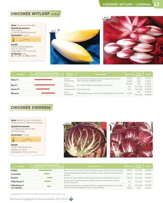 CHICORÉE WITLOOF                                - CHIOGGIA 23

                                                                                                                                                                                          Monroe


  Semis Avril à juin en semis direct
  Quantité de semences
  0,8 à 1,2 kg/ha                                                                               Atlas F1
  ou 300 000 à 400 000 graines/ha
  Germination 5-10 jours
    C°        5      10 15 20 25 30 35
   sol

  Densité
  250 000 à 300 000 plantes/ha
  5-6,5 cm x 30-35 cm
  Eclaircissage à 7-10 cm sur le rang
  Fertilisation (u /ha)
  N = 90-110 P = 80-90 K = 250-300




                                                     Date de forçage conseillée                                                      Type de                                                                                            Forme
                Variétés                                                                                                                                                    Particularités                                   Qté mini                 Code
                                                  A S O N D J F M A M J                                                 J            forçage                                                                                            produit
                                                                                                                              Terre et          Chicon de forme oblongue, lourd, aux couleurs très attractives.               10 MGC      Traité      011015IK
 Atlas F1                                                                                                                     hydroponique      Facile à éplucher. Rendement élevé.                                           10 MGE      Traité      011015IE
                                                                                                                              Terre et                                                                                       100 MGC      Traité     011002IK
 Bea F1                                                                                                                       hydroponique
                                                                                                                                                Très souple d'utillisation, homogène. Chicon ventru.
                                                                                                                                                                                                                                50 g    Non traité   011002NS
 Zoom F1                                                                                                                      Forçage en terre Chicon assez court.                                                              50 g    Non traité   011001NS
                                                                                                                              Terre et                                                                                                    Traité     011020FK
 Monroe                                                                                                                                         Variété vraiment rouge, convient pour le marché de frais et la 4ème gamme.   25 MGC
                                                                                                                              hydroponique                                                                                              Non traité   011020NK




  Semis Mi-avril à fin août en semis direct.
  A partir de mars en motte en serre chaude                                                                                     Leonardo                                                             Indigo
  Quantité de semences
  1,2-1,5 kg/ha pour semis en ligne
  550-700 graines/g
  Germination 5-14 jours
    C°        5      10 15 20 25 30 35
   sol

  Densité
  95 000 à 160 000 plants/ha
  Interlignes 25 à 30 cm
  Eclaircissage à 25-35 cm sur le rang




                                                    Date de plantation conseillée                                                                                                                                                       Forme
                Variétés                                                                                                                                          Particularités                                             Qté mini                 Code
                                                  J F M A M J J A S O N D                                                                                                                                                               produit
 Indigo                                                                                                                       Bonne tenue à la montaison. Pomme ronde bien rouge, compacte et très homogène.                 1000 GE    Non traité   013002NE
                                                                                                                              Très bon développement foliaire avec des têtes rondes et fermes. Pour culture en fin
 Leonardo                                                                                                                     de saison.
                                                                                                                                                                                                                             1000 GE    Non traité   013008NE

 Rossini                                                                                                                      Pomme très rouge. Cycle plus tardif que Leonardo. Pour récolte tardive en saison.              1000 GE    Non traité   013018NE
                                                                                                                              Pomme ronde moyenne légèrement aplatie, rouge à nervure blanche marquée.
 Palla Rossa 3                                                                                                                Récolte à l'automne.
                                                                                                                                                                                                                               10 g     Non traité   013011NS

 Palla Rossa 5                                                                                                                Variété supportant bien les conditions difficiles à l'automne. Bonne tenue au champ.             10 g     Non traité   013012NS
 race Ronda                                                                                                                   Récolte en novembre-décembre. Poids moyen 400-500 g.                                           1000 GE      Traité     013012FE


Les renseignements ci-dessus ne sont donnés qu’à titre indicatif et par conséquent ne sauraient comporter une garantie de récolte.


Semences Potagères Professionnelles 2013-2014
 