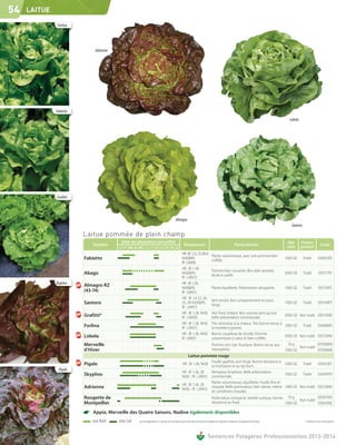 54   LAITUE

               Forlina




                               Adrienne




              Fabietto
                                                                                                                                                                                            Lobela




              Grafitti




                                                                                            Almagro
                                                                                                                                                                                             Santoro

                         Laitue pommée de plein champ
                                           Date de plantation conseillée                                                                                                                   Qté       Forme
                             Variétés                                                                Résistances                                           Particularités                                               Code
                                          J F M A M J J A S O N D                                                                                                                          mini      produit
                                                                                                  HR : Bl 1-22, 25-28 et
                                                                                                                                  Plante volumineuse, avec une pomme bien
                         Fabietto                                                                 Nr(0)&Pb
                                                                                                                                  coiffée.
                                                                                                                                                                                          1000 GE      Traité         034053FE
                                                                                                  IR : LMV(0)
                                                                                                  HR : Bl 1-28,
                                                                                                                                  Pomme bien couverte. Bon état sanitaire,
                         Abago                                                                    Nr(0)&Pb
                                                                                                                                  facile à cueillir.
                                                                                                                                                                                          5000 GE      Traité         035117FE
                                                                                                  IR : LMV(1)
              Skyphos                                                                             HR : Bl 1-28,
                         Almagro RZ                                                               Nr(0)&Pb                        Plante équilibrée. Présentation attrayante.             1000 GE      Traité         035134FE
                         (43-74)                                                                  IR : LMV(1)
                                                                                                  HR : Bl 1,4-22, 24,
                                                                                                                                  Vert tendre. Bon comportement en jours
                         Santoro                                                                  25, 28 Nr(0)&Pb
                                                                                                                                  longs.
                                                                                                                                                                                          1000 GE      Traité         035104FE
                                                                                                  IR : LMV(1)
                                                                                                  HR : Bl 1-28, Nr(0) Vert franc brillant. Bon volume ainsi qu'une
                         Grafitti*                                                                IR : LMV(0)         belle présentation commerciale.
                                                                                                                                                                       5000 GE Non traité                             039135NE
                                                                                                  HR : Bl 1-28, Nr(0) Très résistante à la chaleur. Très bonne tenue à
                         Forlina                                                                  IR : LMV(1)         la montée à graines.
                                                                                                                                                                       1000 GE Traité                                 034088FE
                                                                                                  HR : Bl 1-28, Nr(0) Bonne souplesse de récolte. Pomme
                         Lobela                                                                   IR : LMV(1)         volumineuse à cœur et bien coiffée.
                                                                                                                                                                       5000 GE Non traité                             035133NE

                         Merveille                                                                                    Pomme vert clair. Rustique. Bonne tenue aux        10 g                                        037006NS
                                                                                                            -                                                                  Non traité
                         d'Hiver                                                                                      intempéries.                                     1000 GE                                       037006NE
                                                                                                      Laitue pommée rouge
                                                                                                                      Feuille gaufrée, port érigé. Bonne résistance à
                         Pigale                                                                   HR : Bl 1-28, Nr(0)
                                                                                                                      la montaison et au tip-burn.
                                                                                                                                                                       1000 GE Traité                                 035613FE
                Pigale
                                                                                                  HR : Bl 1-26, 28    Remplace Amphore. Belle présentation
                         Skyphos                                                                  Nr(0) - IR : LMV(1) commerciale.
                                                                                                                                                                       1000 GE Traité                                 034095FE
                                                                                                                      Plante volumineuse, équilibrée. Feuille fine et
                                                                                                  HR : Bl 1-26, 28
                         Adrienne                                                                 Nr(0) - IR : LMV(1)
                                                                                                                      cloquée. Belle pommaison, bien dense, même 1000 GE Non traité                                   035126NE
                                                                                                                      en conditions chaudes.
                         Rougette de                                                                                  Petite laitue compacte. Variété rustique, bonne 10 g                                            035615NS
                                                                                                            -                                                                  Non traité
                         Montpellier                                                                                  résistance au froid.                             1000 GE                                        035615NE

                         ☛   Appia, Merveille des Quatre Saisons, Nadine également disponibles
                             zone Nord    zone Sud   Les renseignements ci-dessus ne sont donnés qu’à titre indicatif et par conséquent ne sauraient comporter une garantie de récolte.                 * Variété en cours d'inscription




                                                                                                                              Semences Potagères Professionnelles 2013-2014
 