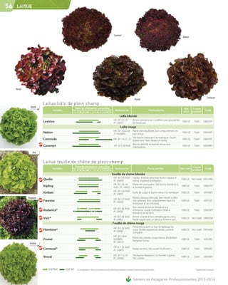 56    LAITUE




                                                                                                                      Cavernet
                                                                                                                                                                                                             Nation




     Versaï


                                                                                                                                                                                                                                            Cornouaï
                                                                                                                                                         Prunaï
                          Laitue lollo de plein champ
                Quelio                                Date de plantation conseillée                                                                                                                          Qté      Forme
                                   Variétés                                                                             Résistances                                              Particularités                                         Code
                                                     J F M A M J J A S O N D                                                                                                                                 mini     produit
                                                                                                                                Lollo blonde
                                                                                                                      HR : Bl 1-23, 25                Bonne croissance en conditions peu poussantes.
                          Levistro                                                                                    IR : LMV(1)                     Ne boule pas.
                                                                                                                                                                                                     1000 GE           Traité         038333FE

                                                                                                                                 Lollo rouge
                                                                                                                      HR : Bl 1-20,22-24, Plante bien équilibrée, bon comportement en
                          Nation                                                                                      27, Nr(0)&Pb         jours longs.
                                                                                                                                                                                                            1000 GE    Traité        038336FE
                                                                                                                                           Très bonne résistance à la montaison. Feuille
                          Concorde                                                                                    HR : Bl 1-16, 21, 23
                                                                                                                                           légèrement frisée, épaisse et solide.
                                                                                                                                                                                                            1000 GE    Traité         038310FE
                                                                                                                                           Bonne densité et bonne tenue aux
                          Cavernet                                                                                    HR : Bl 1-28, Nr(0)
                                                                                                                                           intempéries.
                                                                                                                                                                                                            1000 GE    Traité        038348FE

                  Vizir


                          Laitue feuille de chêne de plein champ
                                                      Date de plantation conseillée                                                                                                                                 Forme
                                   Variétés                                                                             Résistances                                            Particularités              Qté mini produit             Code
                                                     J F M A M J J A S O N D
                                                                                                                   Feuille de chêne blonde
                                                                                                                      HR : Bl 1-28, Nr(0)             Couleur brillante attractive. Bonne vigueur et
                          Quelio                                                                                      IR : LMV(0)                     bonne souplesse d'utilisation.
                                                                                                                                                                                                           5000 GE Non traité 039134NE
                                                                                                                      HR : Bl 1-26, 28                Plante très homogène. Très bonne résistance à
                          Kipling                                                                                     Nr(0) - IR : LMV(1)             la montée à graines.
                                                                                                                                                                                                           1000 GE     Traité         039057FE
                                                                                                                      HR : Bl 1-28, Nr(0)
                          Kiribati                                                                                    IR : LMV(1)
                                                                                                                                                      Facile de coupe et bonne tenue à la montaison. 5000 GE           Traité         039140FE

              Flambine                                                                                                                                Plante à dessous bien plat, bien rempli à côtes
                                                                                                                      HR : Bl 1-27, Nr(0)
                          Freestar                                                                                    IR : LMV(0)
                                                                                                                                                      non saillantes. Bon comportement face à la           5000 GE     Traité         039155FE
                                                                                                                                                      montaison et aux nécroses.
                                                                                                                                                      Bon volume et bonne résistance à la
                                                                                                                      HR : Bl 1-28, Nr(0)
                          Rodanice*                                                                                   IR : LMV(0)
                                                                                                                                                      montaison, souple d'utilisation. Bonne               1000 GE     Traité         039030FE
                                                                                                                                                      résistance au tip burn.
                                                                                                                      HR : Bl 1-28, Nr(0)             Bonne rusticité et bon remplissage du coeur.
                          Vizir*                                                                                      IR : LMV(1)                     Plante souple avec un dessous fermé et sain.
                                                                                                                                                                                                           5000 GE Non traité 039035NE
                                                                                                                    Feuille de chêne rouge
                                                                                                                                                      Précocité assurant un bon remplissage du
                                                                                                                      HR : Bl 1-28, Nr(0)
                          Flambine*                                                                                   IR : LMV(0)
                                                                                                                                                      coeur. Feuilles épaisses et solides, pomme           5000 GE Non traité 039166NE
                                                                                                                                                      compacte.
                                                                                                                      HR : Bl 1-28 et
                                                                                                                                                      Plante très colorée, rouge intense, très brillant.
                          Prunaï                                                                                      Nr(0)&Pb
                                                                                                                                                      Remplace Sirmaï.
                                                                                                                                                                                                           1000 GE     Traité         039124FE
                                                                                                                      IR : LMV (1)
               Kiribati
                                                                                                                      HR: Bl 1-28, Nr(0)
                          Cornouaï*                                                                                   IR : LMV(1)
                                                                                                                                                      Rouge soutenu, très souple d'utilisation.            5000 GE     Traité         039162FE

                                                                                                                      HR : Bl 1-12, 25                Très bonne résistance à la montée à graines.
                          Versaï                                                                                      IR : LMV(0)                     Très colorée.
                                                                                                                                                                                                           1000 GE     Traité         039038FE



                              zone Nord       zone Sud   Les renseignements ci-dessus ne sont donnés qu’à titre indicatif et par conséquent ne sauraient comporter une garantie de récolte.                             * Variété en cours d'inscription




                                                                                                                                                       Semences Potagères Professionnelles 2013-2014
 