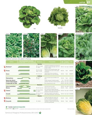LAITUE    57
                                                                                                                                                                                                                                       Totana




                                                                                                                                                                              Diamantinas
                                                                                             Socca



 Bérénice                                           Hussarde                                                                 Pirana                                             Westham                                                Reine des Glaces




Autres laitues de plein champ
                                Date de plantation conseillée                                                                                                                         Qté      Forme                                   Remus
            Variétés                                                                                       Résistances                                       Particularités                                     Code
                              J F M A M J J A S O N D                                                                                                                                 mini     produit
                                                                                                             Sucrine
                                                                                                                                          Compacte et tolérante aux nécroses et
                                                                                                       HR : Bl 1-27, Nr(0)
Westham*                                                                                               IR : LMV(1)
                                                                                                                                          tip burn. Longueur de cœur de 12 cm 5000 GE Non traité 038038NE
                                                                                                                                          en plein champ.
                                                                                                                                          Plante vert clair à feuille cloquée. Jolie
                                                                                                       HR : Bl 1-26, 28,
Pirana                                                                                                 Nr(0) - IR : LMV
                                                                                                                                          confirmation de coeur et très souple       5000 GE Traité 038009FE
                                                                                                                                          d'utilisation.
                                                                                                                                          Saveur douce. Peut se récolter en
Socca                                                                                                  HR : Bl 1-26, 28
                                                                                                                                          plante entière ou en cœur de laitue.
                                                                                                                                                                                     1000 GE Traité 038088FE

                                                                                                             Iceberg
                                                                                                       HR : Bl 1-28                       Lent à monter et peu sensible au tip
Diamantinas                                                                                            IR : Nr(0)                         burn.
                                                                                                                                                                                     1000 GE    Traité       038622FE

Reine des Glaces                                                                                                                          Feuille croquante. Excellente qualité       10 g Non traité 035088NS
                                                                                                                      -
(Frisée de Beauregard)                                                                                                                    gustative. Très lente à monter à graines. 1000 GE Non traité 035088NE
Craquerelle du Midi                                                                                                   -                   Bon comportement en été.                  5000 GE Non traité 035503NE
                                                                                                            Romaine
Grise maraîchère                                                                                                 -                        Peut être forcée sous abri.                1000 GE Non traité 035507NE
Remus                                                                                                  HR : Bl 1-16, 21, 23               Plante robuste, volumineuse.               1000 GE Traité     035512FE
                                                                                                                                          Plus courte que Corbana mais plus                                                            Xanadu
                                                                                                       HR : Bl 1-28, Nr(0)
Totana*                                                                                                IR : LMV(1)
                                                                                                                                          rapide en culture. Très bonne résistance   1000 GE Non traité 035556NE
                                                                                                                                          au tip-burn. De couleur vert foncé.
                                                                                                       HR : Bl 1-16, 21, 23               Type mini-romaine, à coeur plein et
Xanadu                                                                                                 IR : LMV(1)                        ferme. Belle présentation commerciale.
                                                                                                                                                                                     1000 GE Non traité 035508NE

                                                                                                              Niçoise
                                                                                                                                          Feuilles lancéolées de couleur vert
Bérénice                                                                                                               -
                                                                                                                                          franc. Peu sensible à la montaison.
                                                                                                                                                                                     1000 GE    Traité       039024FE
                                                                                                                                          De type cocarde peu sensible à la
Hussarde                                                                                               HR : LMV(0)                        montaison. Longue feuille lancéolée,       1000 GE    Traité       039025FE
                                                                                                                                          vert foncé anthocyanée.



☛     Carolus également disponible
      zone Nord        zone Sud   Les renseignements ci-dessus ne sont donnés qu’à titre indicatif et par conséquent ne sauraient comporter une garantie de récolte.                                * Variété en cours d'inscription




Semences Potagères Professionnelles 2013-2014
 