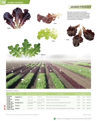 58        JEUNES POUSSES



                                                                                                                                                                                                              Fournisseur reconnu dans le marché de la
                                                                                                                                                                                                              jeune pousse, notre but est de vous apporter de
                                                                                                                                                                                                              nouvelles variétés avec des améliorations, des
                                                                                                                                                                                                              résistances, de nouvelles couleurs, de nouvelles
                                                                                                                                                                                                              saveurs afin de vous apporter de la créativité et
                                                                                                                                                                                                              de la sécurité dans vos mélanges.

                                                                                                                                                                           Solavia


          Flagship




                                                                                                                                                                                                            Diveria
                                                                                                                                                                      Torovia




                                                                                                                                           Bridgemere




      Gamme laitue
                                                                                                                                                                                                                                             Forme
               Espèces                                   Variétés                          Période de semis                           Résistance                                     Particularités                              Qté mini                        Code
                                                                                                                                                                                                                                             produit
        Romaine
                                          Flagship *                                       Toute saison                           HR : Bl 1-25          Vraie romaine d’un rouge vif et brillant. Feuilles épaisses.              10 MGN       Traité         035551FG
        rouge
        Romaine
                                          Diveria                                          Toute saison                           HR : Bl 1-28, Nr(0)   Feuille de couleur très attractive.                                       10 MGN       Traité         035533FG
        rouge
        Feuille de                                                                         Toute saison : abris et HR : Bl 1-12, 17, 18,
                                          Bridgemere                                       plein champ             22, 24-26
                                                                                                                                                        Variété à croissance rapide. Feuilles épaisses et bien lobées.            10 MGN       Traité         039062FG
        chêne verte
        Feuille de
                                          Torovia                                          Toute saison                           HR : Bl 1-28, Nr(0)   Belle couleur vert foncé. Bonne tenue en sachet.                          10 MGN       Traité         039163FG
        chêne verte
        Feuille de
                                          Solavia                                          Toute saison                           HR : Bl 1-28, Nr(0)   Belle couleur rouge. Croissance rapide, adapté aux semis en mélange.      10 MGN       Traité         039164FG
        chêne rouge



     Les renseignements ci-dessus ne sont donnés qu’à titre indicatif et par conséquent ne sauraient comporter une garantie de récolte.                                                                                                         * Variété en cours d’inscription.



                                                                                                                                                                                     Semences Potagères Professionnelles 2013-2014
 