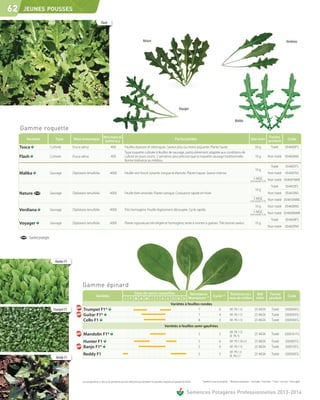 62    JEUNES POUSSES

                                                                         Flash



                                                                                                                            Nature                                                                                                                                                                              Verdiana




                                                                                                                                                                       Voyager


                                                                                                                                                                                                                                       Malika

     Gamme roquette
                                                                             Nbre moyen de                                                                                                                                                                           Forme
        Variétés                 Type        Nom botanique                                                                                                        Particularités                                                                            Qté mini produit                                      Code
                                                                              graines au g
     Tosca                    Cultivée       Eruca sativa                            400              Feuilles épaisses et oblongues. Saveur plus ou moins piquante. Plante haute.                                                                               50 g                    Traité                054600FS
                                                                                                      Type roquette cultivée à feuilles de sauvage, particulièrement adaptée aux conditions de
     Flash                    Cultivée       Eruca sativa                            400              culture en jours courts. 2 semaines plus précoce que la roquette sauvage traditionnelle.                                                                   10 g             Non traité 054606NS
                                                                                                      Bonne tolérance au mildiou.
                                                                                                                                                                                                                                                                                         Traité                054601FS
                                                                                                                                                                                                                                                                 10 g
     Malika                   Sauvage        Diplotaxis tenuifolia                  4000              Feuille vert foncé, luisante, longue et élancée. Plante trapue. Saveur intense.                                                                                             Non traité                   054601NS
                                                                                                                                                                                                                                                               5 MGE              Non traité 054601NME
                                                                                                                                                                                                                                                           multi-enrobé 15-20
                                                                                                                                                                                                                                                                                         Traité                054610FS
                                                                                                                                                                                                                                                                 10 g
     Nature                   Sauvage        Diplotaxis tenuifolia                  4000              Feuille bien arrondie. Plante rustique. Croissance rapide en hiver.                                                                                                         Non traité                   054610NS
                                                                                                                                                                                                                                                               5 MGE              Non traité 054610NME
                                                                                                                                                                                                                                                           multi-enrobé 15-20
                                                                                                                                                                                                                                                                10 g              Non traité 054608NS
     Verdiana                 Sauvage        Diplotaxis tenuifolia                  4000              Très homogène. Feuille légèrement découpée. Cycle rapide.
                                                                                                                                                                                                                                                               5 MGE
                                                                                                                                                                                                                                                           multi-enrobé 15-20     Non traité 054608NME
                                                                                                                                                                                                                                                                                         Traité                054609FS
     Voyager                  Sauvage        Diplotaxis tenuifolia                  4000              Plante vigoureuse très érigée et homogène, lente à monter à graines. Très bonne saveur.                                                                    10 g
                                                                                                                                                                                                                                                                                  Non traité 054609NS


         : Variété protégée




                                 Hunter F1




                                                    Gamme épinard
                                                                                                          Date de semis conseillée          Résistance                                                                           Résistance aux                    Qté             Forme
                                                                   Variétés                                                                            (1) Cycle (2)                                                                                                                                              Code
                                                                                                      J F M A M J J A S O N D Montaison                                                                                         races de mildiou                   mini            produit
                                                                                                                                Variétés à feuilles rondes
                                Trumpet F1           Trumpet F1*                                                                                  7           6                                                                  HR : Pfs 1-12                  25 MGN                   Traité                030094FG
                                                     Guitar F1*                                                                                   7           4                                                                  HR : Pfs 1-13                  25 MGN                   Traité                030095FG
                                                     Cello F1                                                                                     8           3                                                                  HR : Pfs 1-13                  25 MGN                   Traité                030096FG
                                                                                                                                                      Variétés à feuilles semi-gaufrées
                                                                                                                                                                                                                                 HR : Pfs 1-12
                                                     Mandolin F1*                                                                                                                        5                         5
                                                                                                                                                                                                                                 IR : Pfs 13
                                                                                                                                                                                                                                                                25 MGN                   Traité               030016 FG

                                                     Hunter F1                                                                                                                           5                         6             HR : Pfs 1-10+13               25 MGN                   Traité                030081FG
                                                     Banjo F1*                                                                                                                           5                         6             HR : Pfs 1-13                  25 MGN                   Traité                030015FG
                                                                                                                                                                                                                                 HR : Pfs 1-4
                                                     Reddy F1                                                                                                                            5                         5
                                                                                                                                                                                                                                 IR : Pfs 5-7
                                                                                                                                                                                                                                                                25 MGN                   Traité                030036FG
                                  Reddy F1




                                                    Les renseignements ci-dessus ne sont donnés qu’à titre indicatif et par conséquent ne sauraient comporter une garantie de récolte.       * Variété en cours d’inscription. (1) Résistance montaison : 1 très faible - 9 très forte    (2)
                                                                                                                                                                                                                                                                                                Cycle : 1 très lent - 9 très rapide



                                                                                                                                                                                Semences Potagères Professionnelles 2013-2014
 