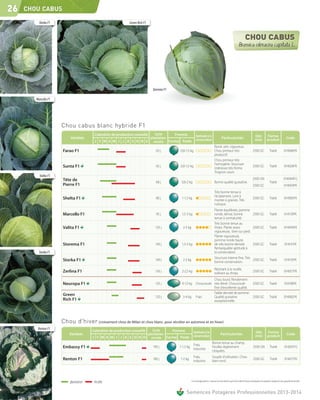 50 graines Légumes-laitue-CAN CAN Pilules