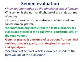 Semen evaluation
• Provides information on the complex of sexual function
•The semen is the normal discharge of the male at time
of mating.
• It is a suspension of spermatozoa in a fluid medium
called seminal plasma.
•Spermatozoa originates from the testes, primary sex
glands and stored in the epididymis, constitute 10% of
the total volume
•Seminal plasma is a mixture of secretions from seminal
vesicles, cowper’s gland, prostate gland, ampullae
and epididymis.
•Secretions of seminal vesicles form nearly 55% of the
total volume of the bull semen
 