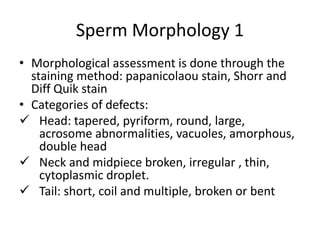 Sperm Morphology 1
• Morphological assessment is done through the
staining method: papanicolaou stain, Shorr and
Diff Quik stain
• Categories of defects:
 Head: tapered, pyriform, round, large,
acrosome abnormalities, vacuoles, amorphous,
double head
 Neck and midpiece broken, irregular , thin,
cytoplasmic droplet.
 Tail: short, coil and multiple, broken or bent
 