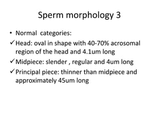 Sperm morphology 3
• Normal categories:
Head: oval in shape with 40-70% acrosomal
region of the head and 4.1um long
Midpiece: slender , regular and 4um long
Principal piece: thinner than midpiece and
approximately 45um long
 