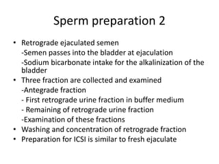 Sperm preparation 2
• Retrograde ejaculated semen
-Semen passes into the bladder at ejaculation
-Sodium bicarbonate intake for the alkalinization of the
bladder
• Three fraction are collected and examined
-Antegrade fraction
- First retrograde urine fraction in buffer medium
- Remaining of retrograde urine fraction
-Examination of these fractions
• Washing and concentration of retrograde fraction
• Preparation for ICSI is similar to fresh ejaculate
 