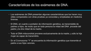 Características de los exámenes de DNA.
• Los exámenes de DNA presentan algunas características que los hacen muy
útiles comparados con otras pruebas ya conocidas y empleadas en medicina
forense.
• El DNA, en cuanto a portador de información genética, es transmisible de
padres a hijos, de modo que en toda persona la mitad del DNA procede del
padre y la otra mitad de la madre.
• Todo el DNA mitocondrial proviene exclusivamente de la madre, y sólo la hija
mujer es capaz de transmitirlo.
• En el Cromosoma “Y” se encuentra la información genética que transmite el
padre a sus hijos varones.
 