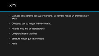 XYY
• Llamado el Síndrome del Súper-hombre. El hombre recibe un cromosoma Y
extra.
• Conocido por su mayor índice criminal.
• Niveles muy alto de testosterona
• Comportamiento violento
• Estatura mayor que la promedio
• Acné
 